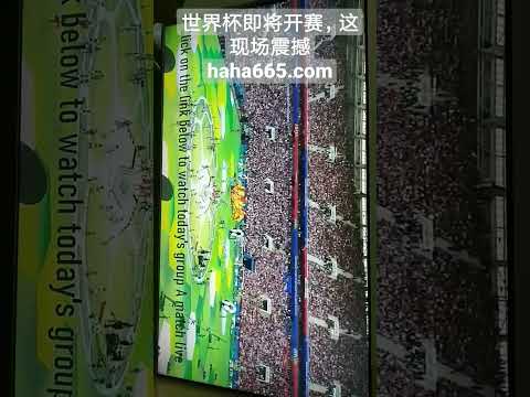 高志丹与卡,塔尔奥委会,主席乔安亲,NG体育,NG,Sports,NG体育官网,NG体育官网,NG体育下载,NG体育APP