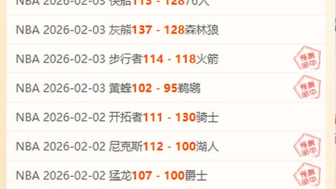 普尔客场19分8助攻，奇才击败篮网